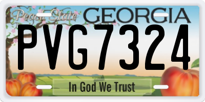 GA license plate PVG7324
