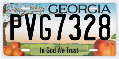 GA license plate PVG7328