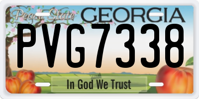 GA license plate PVG7338