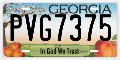 GA license plate PVG7375