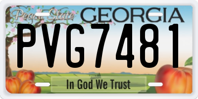 GA license plate PVG7481