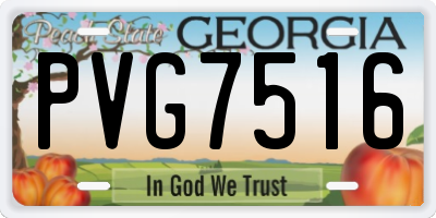 GA license plate PVG7516