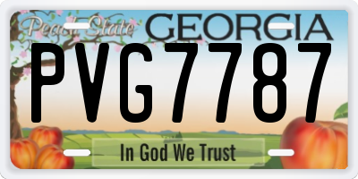 GA license plate PVG7787