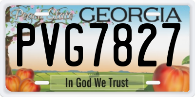 GA license plate PVG7827