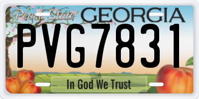 GA license plate PVG7831