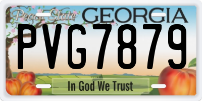 GA license plate PVG7879