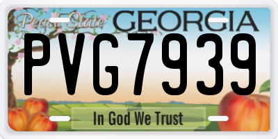 GA license plate PVG7939