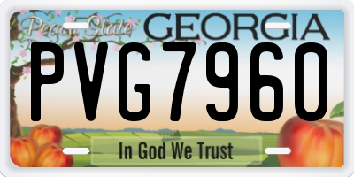 GA license plate PVG7960
