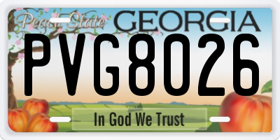 GA license plate PVG8026