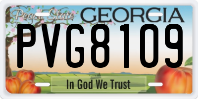 GA license plate PVG8109
