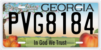 GA license plate PVG8184