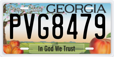 GA license plate PVG8479