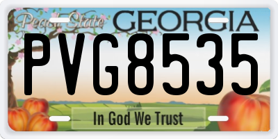 GA license plate PVG8535