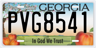 GA license plate PVG8541