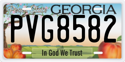 GA license plate PVG8582