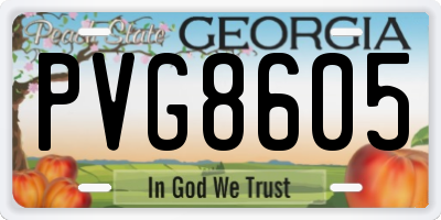 GA license plate PVG8605