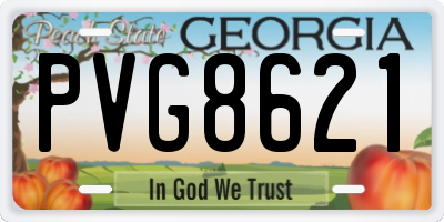 GA license plate PVG8621