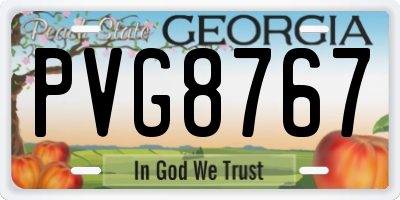 GA license plate PVG8767
