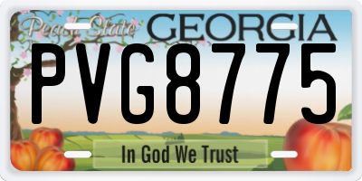 GA license plate PVG8775