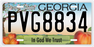 GA license plate PVG8834