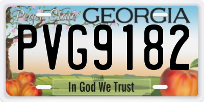 GA license plate PVG9182