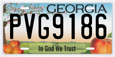 GA license plate PVG9186