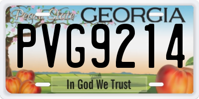 GA license plate PVG9214