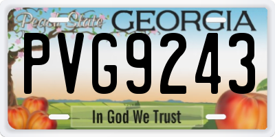 GA license plate PVG9243