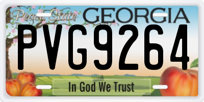 GA license plate PVG9264