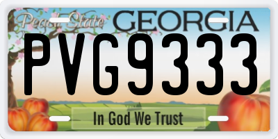 GA license plate PVG9333