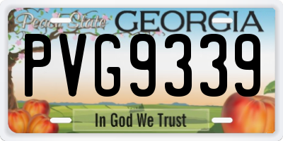 GA license plate PVG9339