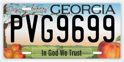 GA license plate PVG9699