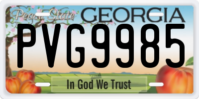 GA license plate PVG9985
