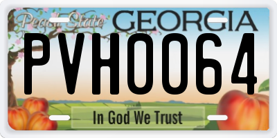 GA license plate PVH0064