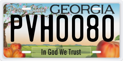 GA license plate PVH0080