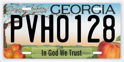 GA license plate PVH0128