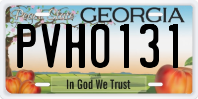 GA license plate PVH0131