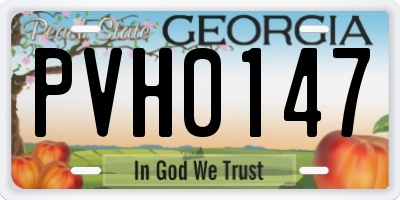 GA license plate PVH0147