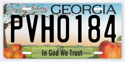 GA license plate PVH0184