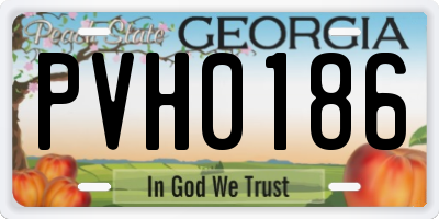 GA license plate PVH0186