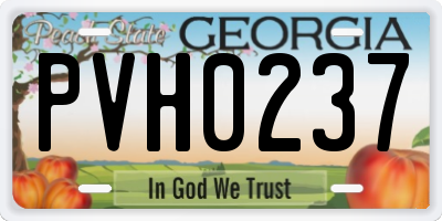 GA license plate PVH0237
