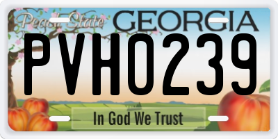 GA license plate PVH0239