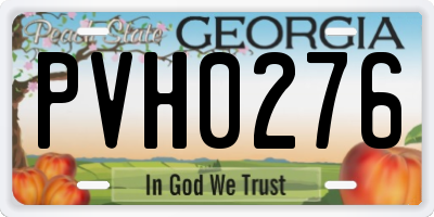 GA license plate PVH0276