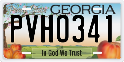GA license plate PVH0341