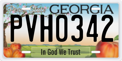 GA license plate PVH0342