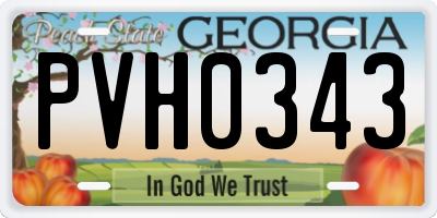 GA license plate PVH0343