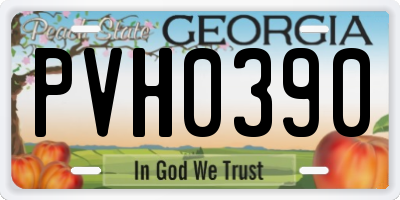 GA license plate PVH0390