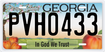 GA license plate PVH0433