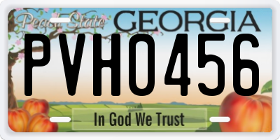 GA license plate PVH0456