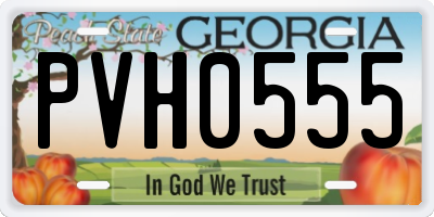 GA license plate PVH0555